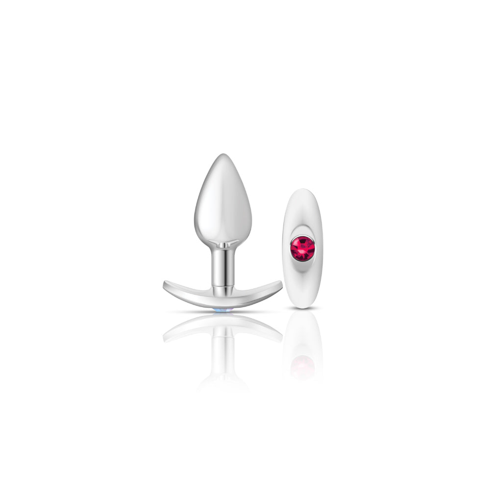 "Silver Anchor Buttplug Kit - Clear Iridescent/pink VB-CC9140"